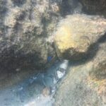 Private Snorkeling Excursion - Who This Tour is Perfect For