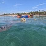 Private Snorkeling with Sea Turtles in Akumal Beach - The Value of the Experience