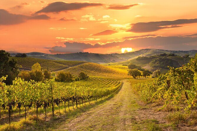 Private Sonoma Winery Tour - Analyzing the Cost and Value