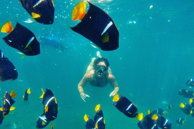 Private Stand Up Paddle Experience in Los Arcos Jalisco - What’s Included and What’s Not