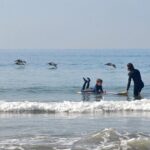 Private Surf Lesson at Will Roger's State Beach - The Price and Value