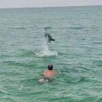 Private Swimming with Dolphins in Panama City Beach Florida - Authentic Experiences and What Travelers Say