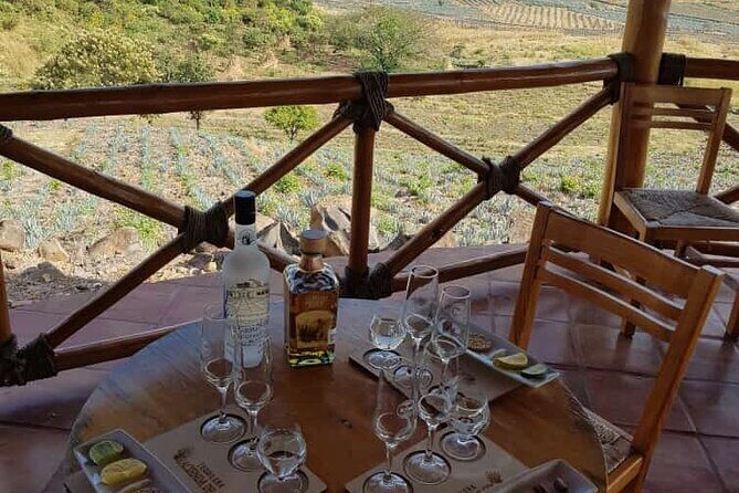 Private Tasting Tour Hacienda de Oro, Amatitan Jalisco - Who Will Love This Experience?