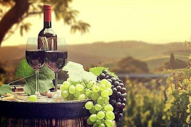 Private Temecula Wine Country Tour from San Diego - What to Expect from the Itinerary