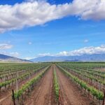 Private Temecula Wine Tour from Carlsbad - What’s Included and What’s Not