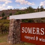 Private Temecula Wine Tour from Irvine - Who Should Consider This Tour?