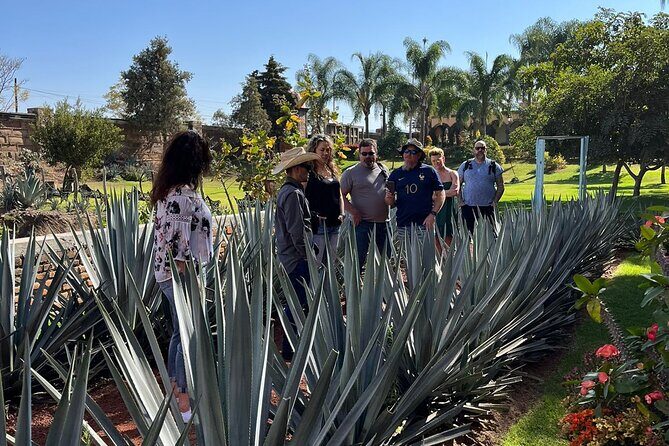 Private Tequila Tour with Local Expert - Who Will Love This Tour?