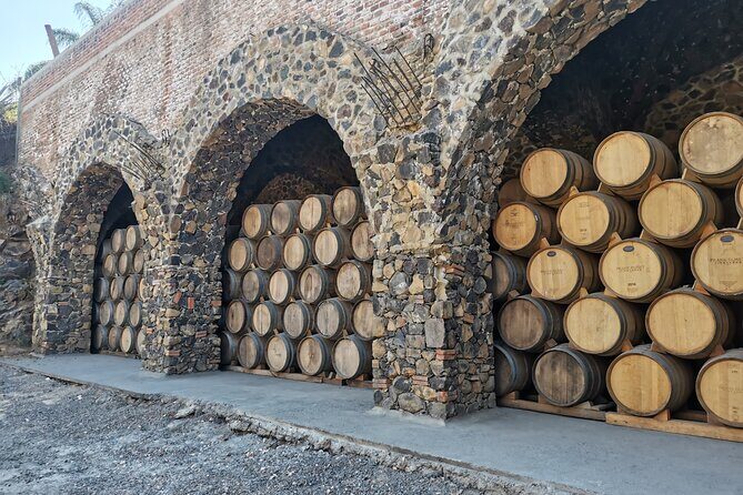 PRIVATE Tequila Valleys Tour: Pyramids, Volcanoes, Agaves&Tequila - Who Will Love This Tour