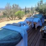 Private Therapeutic Massage Experience in Valle de Guadalupe - Key Points
