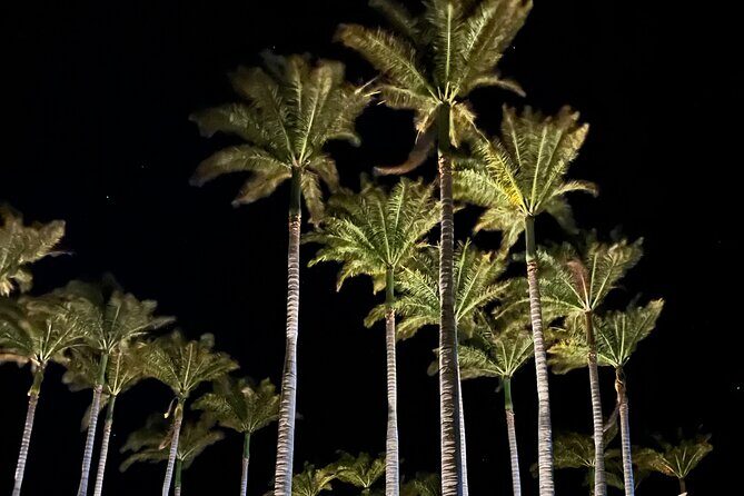 Private Tour Around the Island of Hawaii - What Travelers Are Saying