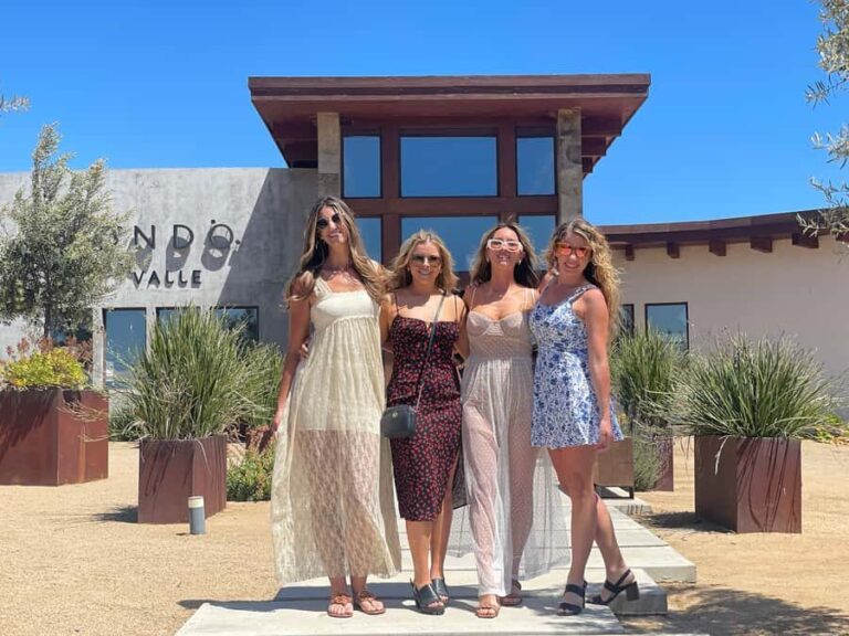Private Tour at Valle de Guadalupe - Visiting Wineries: What to Expect