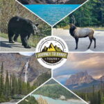 Private Tour Banff/Emerald Yoho Customized Sightseeing - What to Expect in Terms of Duration and Comfort