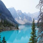 Private Tour Banff Yoho Jasper National Park for a Small Group - What Travelers Say and Why It Matters