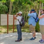 Private Tour: Birdwatching Playa del Carmen - What Reviews Reveal About This Tour
