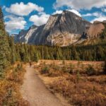 Private Tour: Canmore 2-Hour Guided Nature Walk - Who Will Love This Tour?