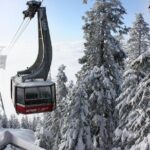 Private Tour: Capilano Suspension Bridge and Grouse Mountain - What Sets This Tour Apart