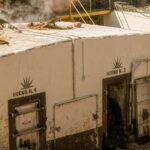 Private Tour Cascahuin Distillery and visit to Tequila - What Makes This Tour Stand Out