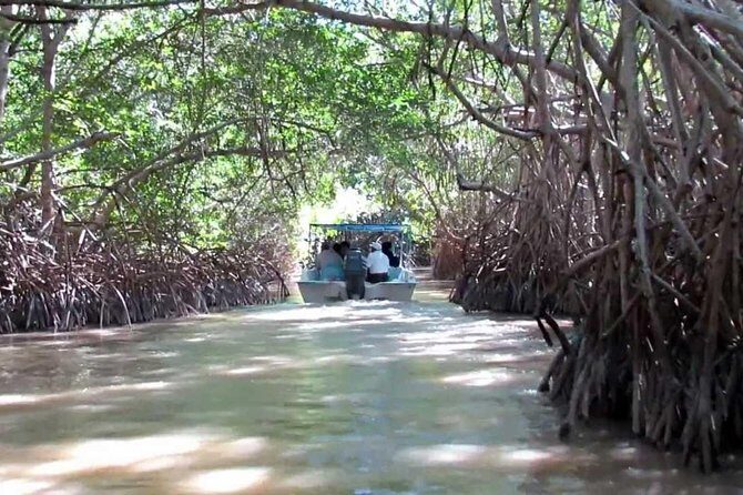 Private Tour: Celestun Biosphere Reserve by Yucatan Concierge - Cost and Value: Is It Worth It?