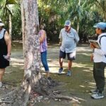 PRIVATE TOUR Chacchoben Mayan Ruins from Costa Maya - An In-Depth Look at the Chacchoben Mayan Ruins Tour