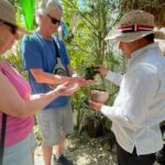 Private Tour Coba ruins Cenote Cavern Mayan Village Lunch - Who Will Love This Tour?