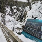 Private Tour Experience at Radium Hot Springs and Kootenay Park - Exploring the Itinerary in Detail