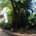 Private tour from Holbox Island to Chichen itza and cenote - Final Thoughts