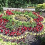Private Tour: Gardens of Vancouver - A Detailed Look at the Gardens and Parks