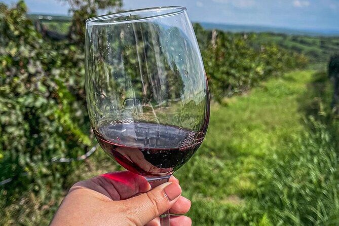 Private Tour in Jalostotitlán and Cerca Blanca Vineyard - Final Thoughts