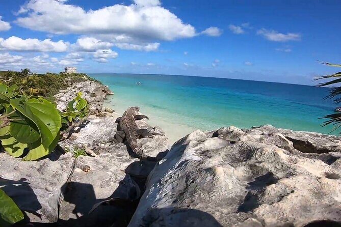 Private Tour in Tulum Ruins with Certified Guide - Practical Tips for Your Visit