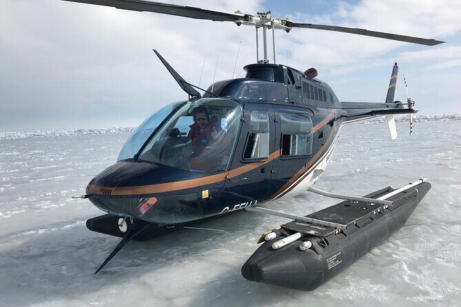 Private Tour: Niagara Falls Helicopter Flight - Final Thoughts: Is It Worth It?