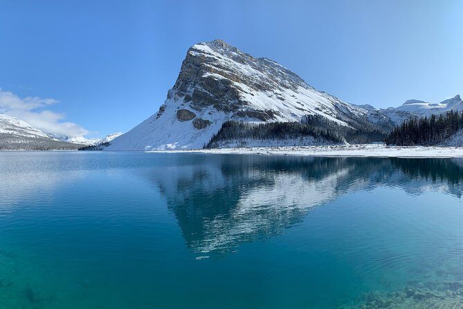 Private Tour of Lake Louise and the Icefield Parkway for up to 12 guests - What Sets This Tour Apart