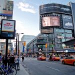 Private Tour of Toronto - Transportation, Timing, and Group Dynamics