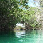 Private tour of Tulum Archaeological Site & Sian Ka'an Muyil - What’s Included and What to Expect