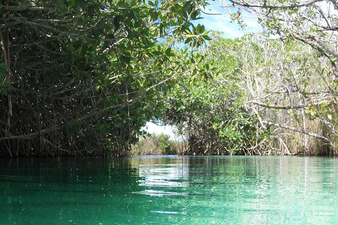 Private tour of Tulum Archaeological Site & Sian Ka'an Muyil - What’s Included and What to Expect