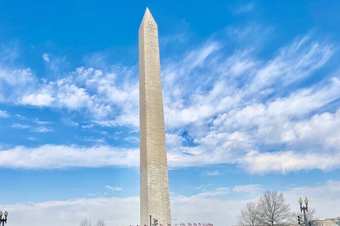 Private Tour of Washington DC for Groups of Up to 7 People - Who Should Consider This Tour?
