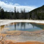 Private Tour of Yellowstones Natural Wonders from Jackson Hole - A Closer Look at the Tour Experience