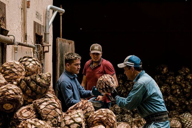 Private Tour one day of Adventure in Tequila and Tequilera Cascahuin - Deep Dive into the Itinerary