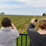 Private Tour or Private Transportation From Toronto Anywhere - The Cost and Value