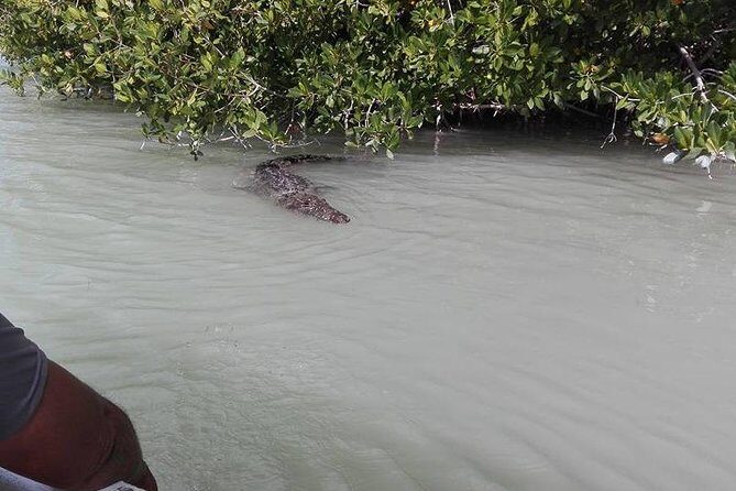 Private Tour: Pink Flamingos, Maya Temples and Ek Balam - FAQs