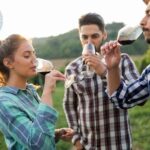 Private Tour Premium Wineries in the Valle de Guadalupe - Who This Tour Is Best For