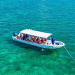 Private Tour Reefs and Corals Puerto Morelos Snorkel Lunch - Key Points