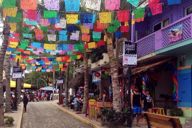Private Tour, Sayulita & San Pancho - Final Thoughts