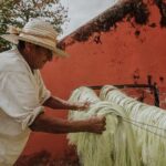 Private Tour: Sotuta de Peon Hacieda Day Trip - Practical Details and Considerations