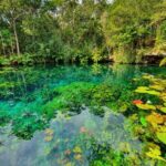 Private Tour Tankah 3 Zip Lines 3 Cenotes Canoe Snorkel Community - Who Should Consider This Tour?