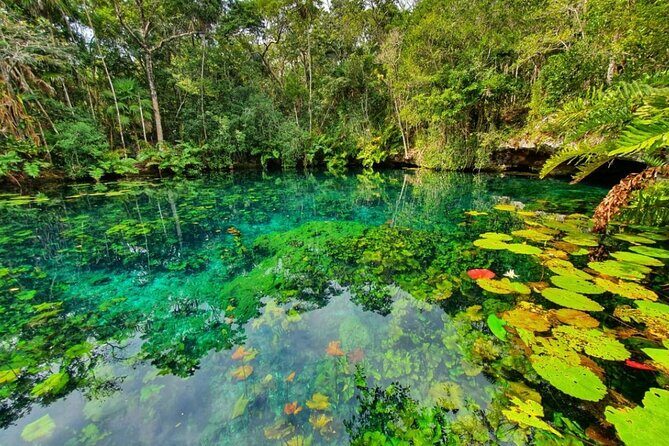 Private Tour Tankah 3 Zip Lines 3 Cenotes Canoe Snorkel Community - Who Should Consider This Tour?