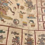 Private Tour: the must-see Museum of Anthropology - Why Choose This Tour?