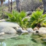 Private Tour to Hot Springs and Waterfall in Santiago - The Real Value