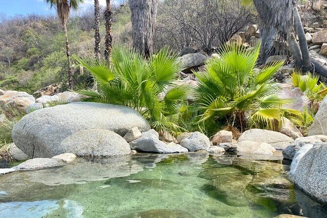 Private Tour to Hot Springs and Waterfall in Santiago - The Real Value