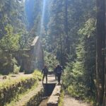 Private Tour to Los Diamantes Waterfall from CDMX - An In-Depth Look at the Tour