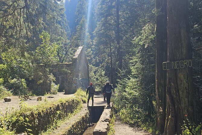 Private Tour to Los Diamantes Waterfall from CDMX - An In-Depth Look at the Tour